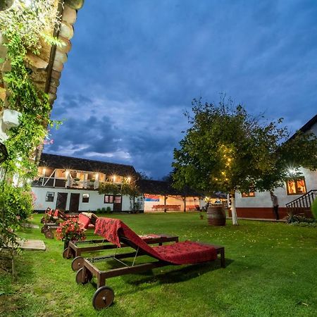 Gasthaus Domacinstvo Cikic Zasavica Exterior foto