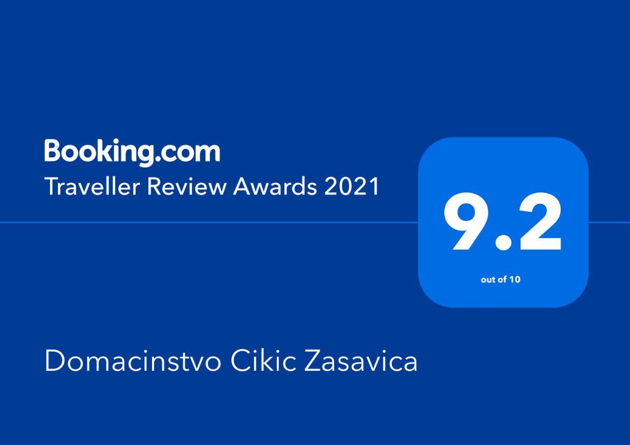 Gasthaus Domacinstvo Cikic Zasavica Exterior foto