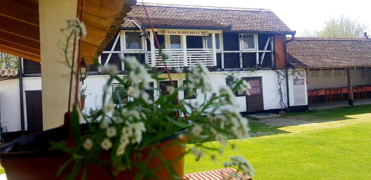 Gasthaus Domacinstvo Cikic Zasavica Exterior foto