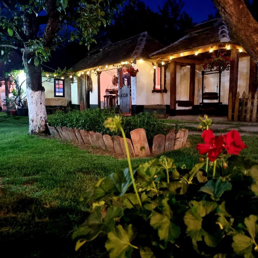 Gasthaus Domacinstvo Cikic Zasavica Exterior foto