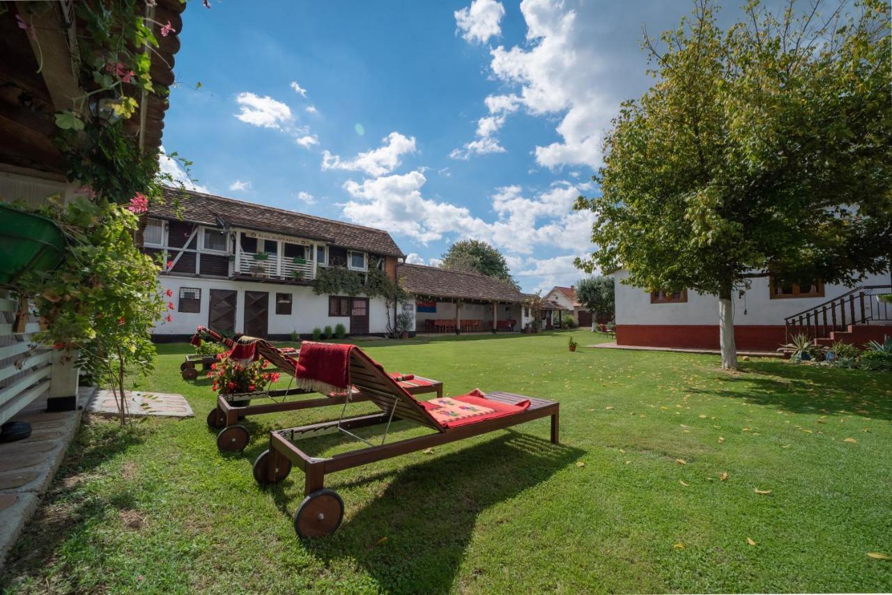 Gasthaus Domacinstvo Cikic Zasavica Exterior foto