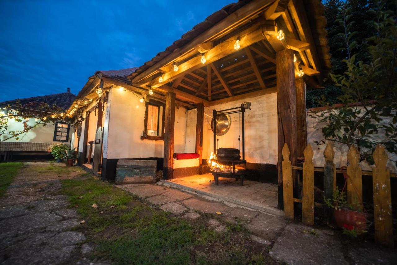 Gasthaus Domacinstvo Cikic Zasavica Exterior foto