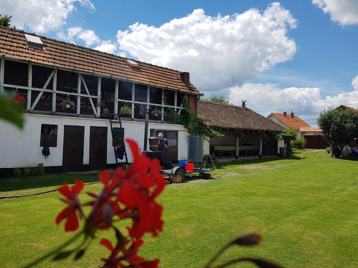 Gasthaus Domacinstvo Cikic Zasavica Exterior foto